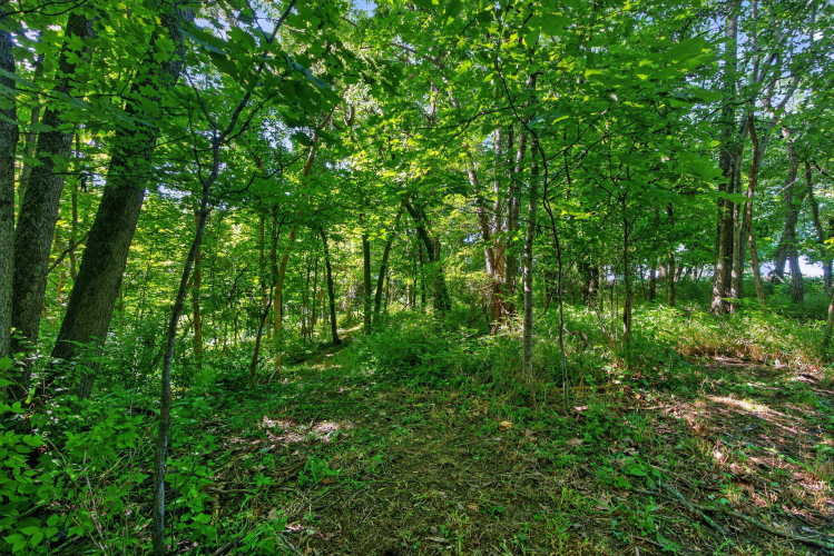 Listing Image 17