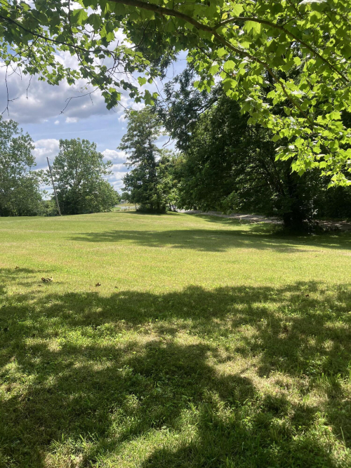 Listing Image 24