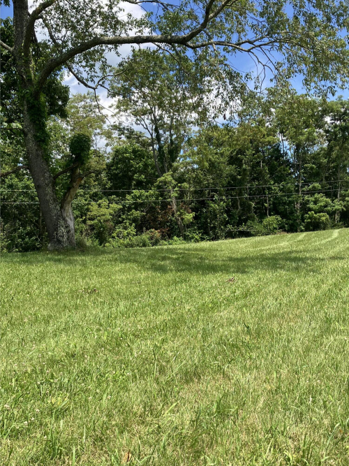 Listing Image 26