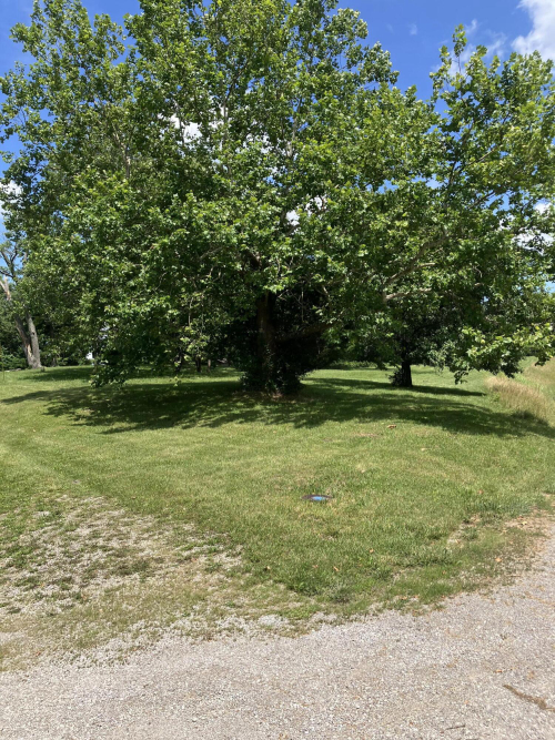 Listing Image 27