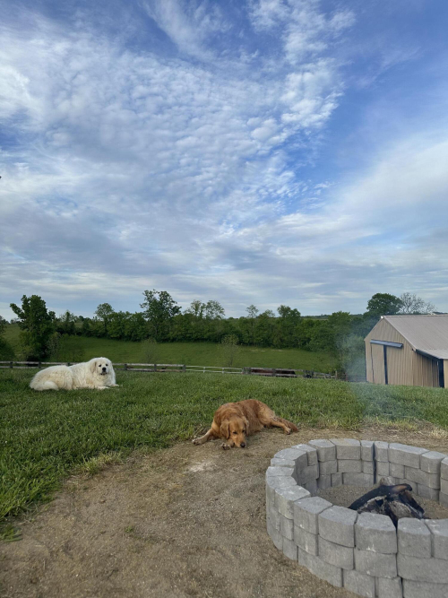 Listing Image 58