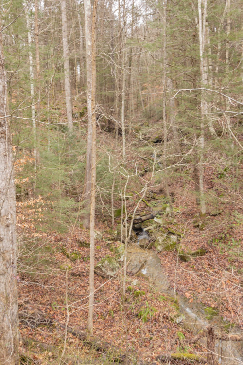 Listing Image 35