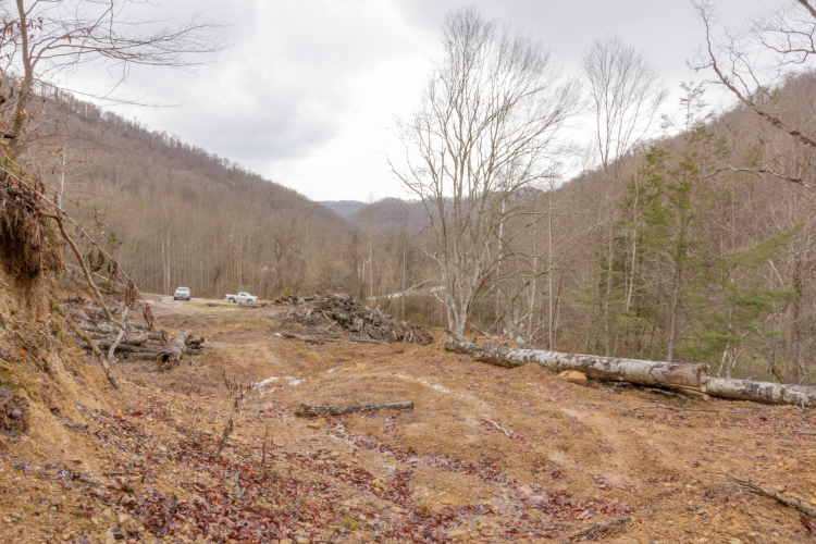 Listing Image 39
