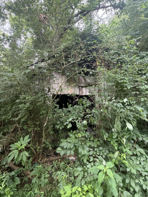 Listing Image 37