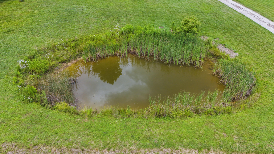 Listing Image 28