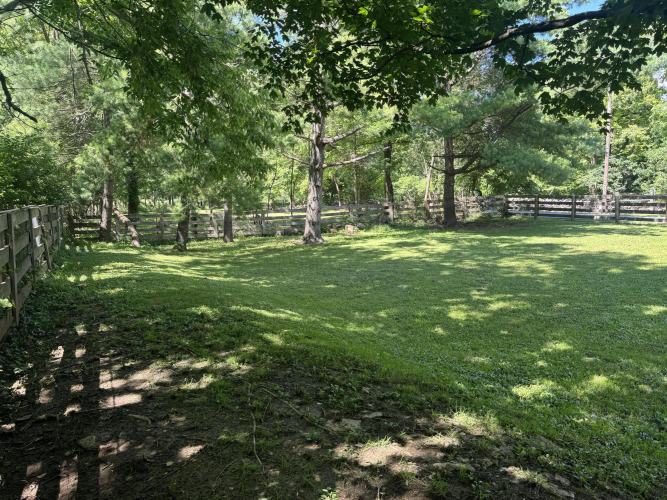 Listing Image 46