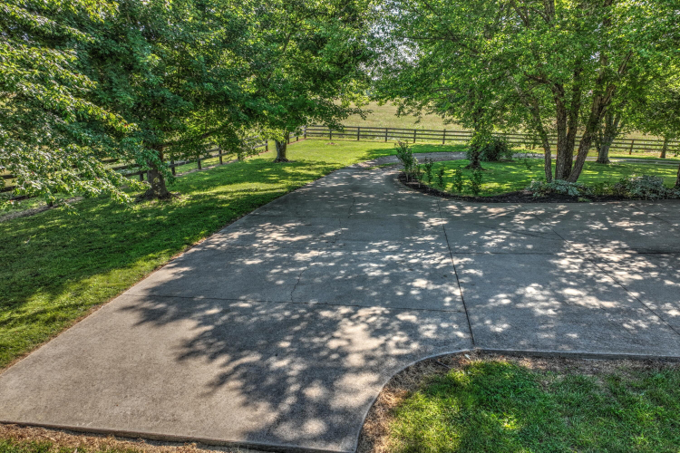Listing Image 52
