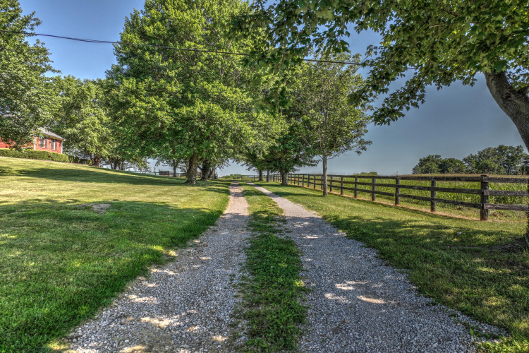 Listing Image 65