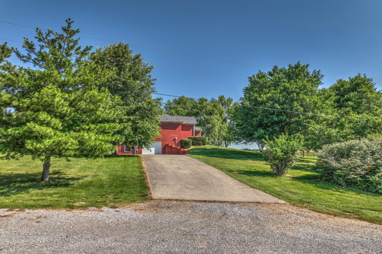 Listing Image 81