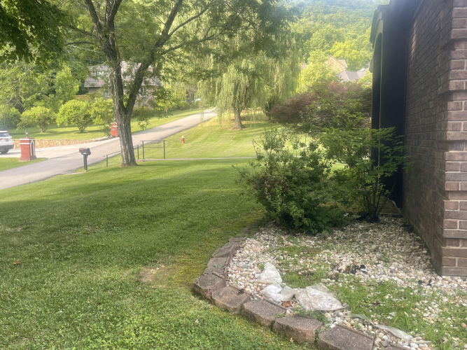 Listing Image 110