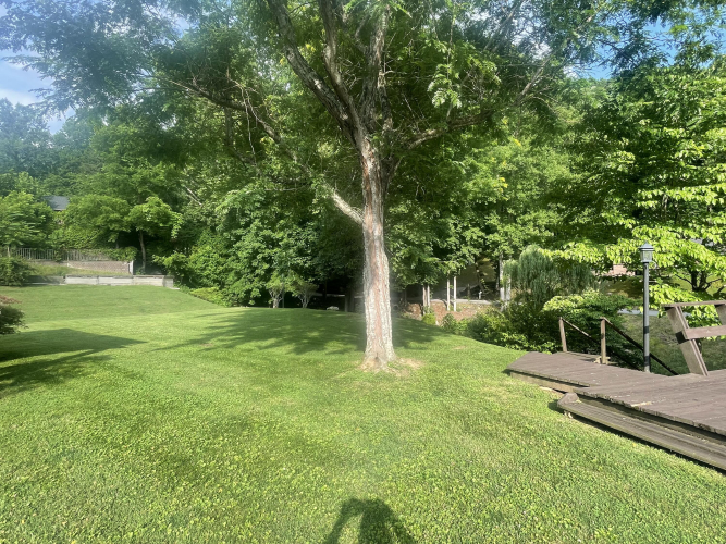 Listing Image 163