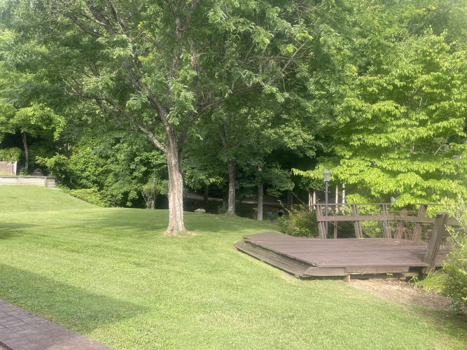 Listing Image 168