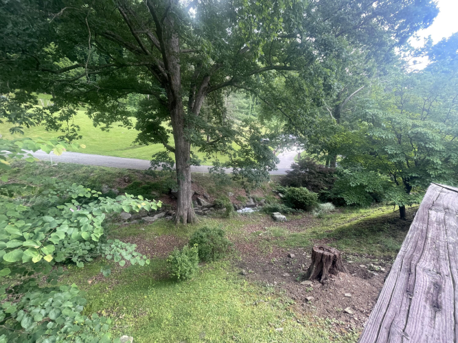 Listing Image 173