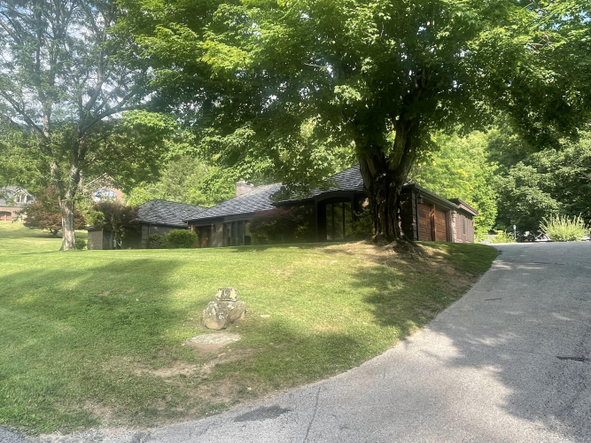 Listing Image 100