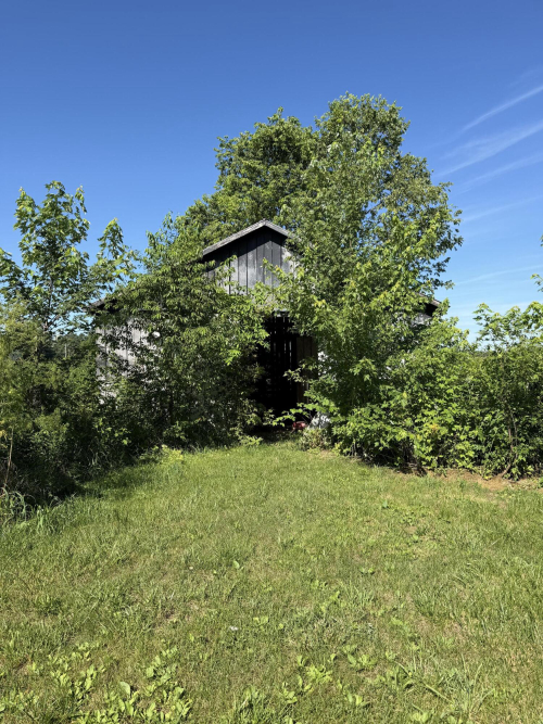 Listing Image 4