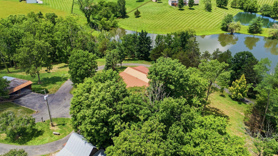 Listing Image 103