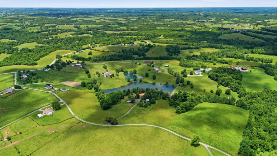 Listing Image 95
