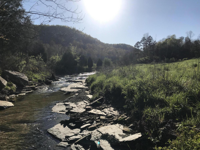 Listing Image 37