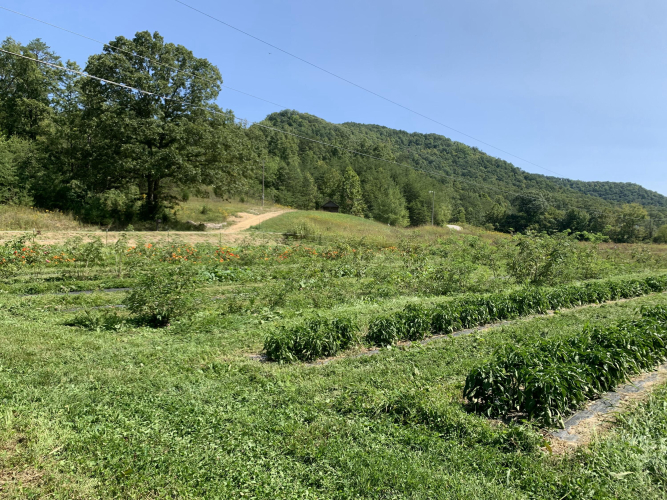 Listing Image 42