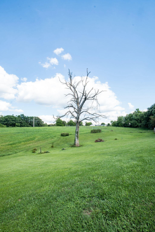 Listing Image 108