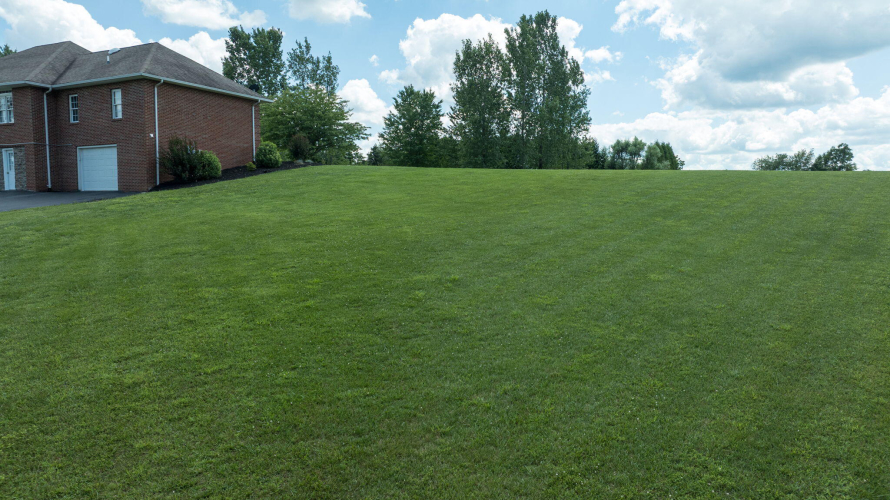 Listing Image 119