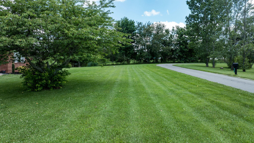 Listing Image 139
