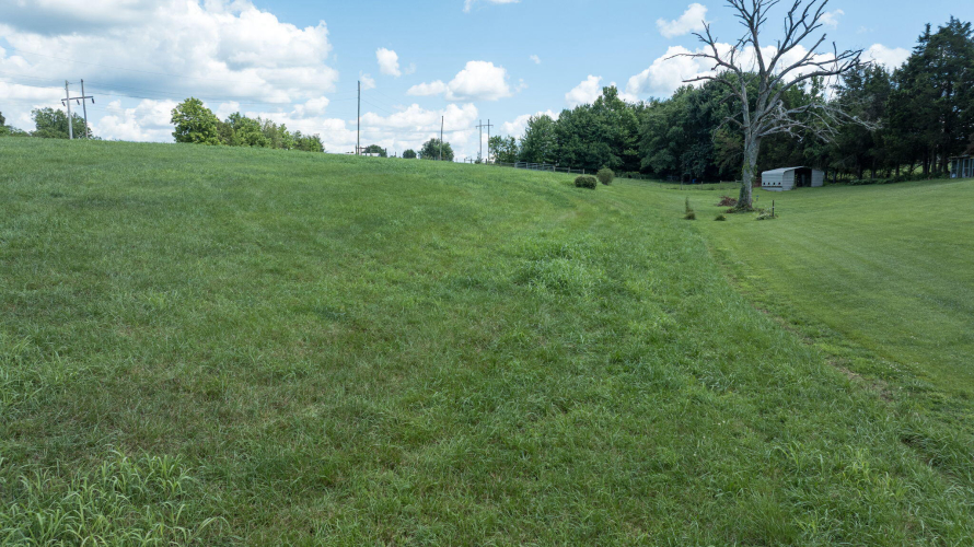 Listing Image 141