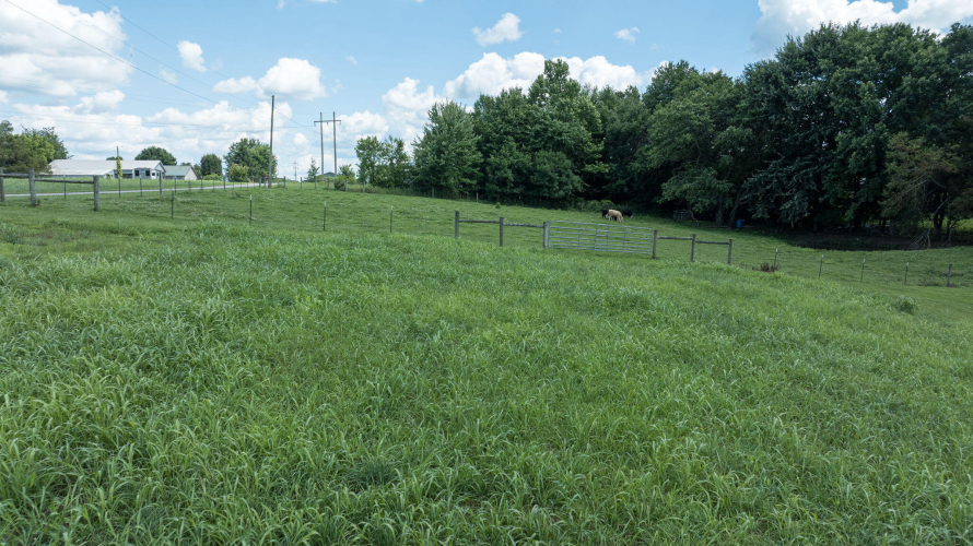 Listing Image 143
