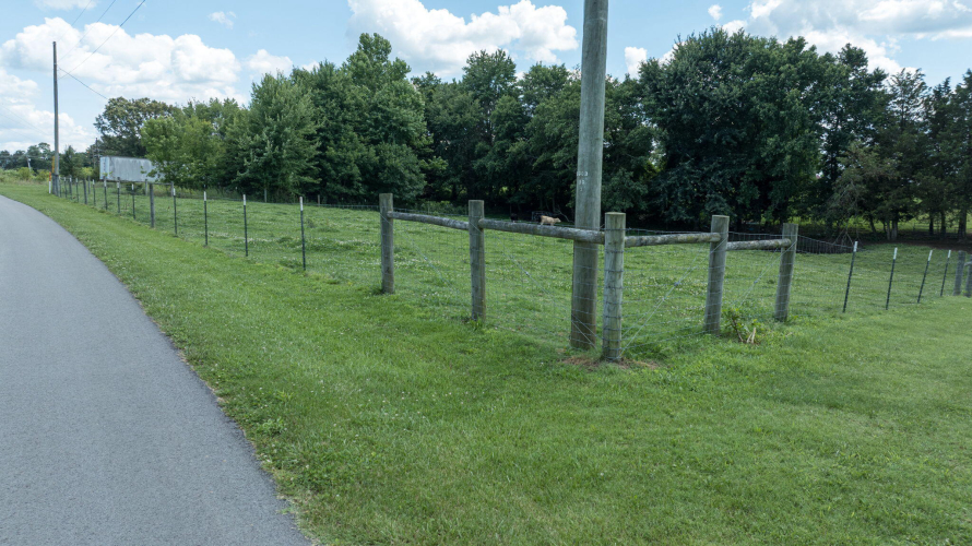 Listing Image 146