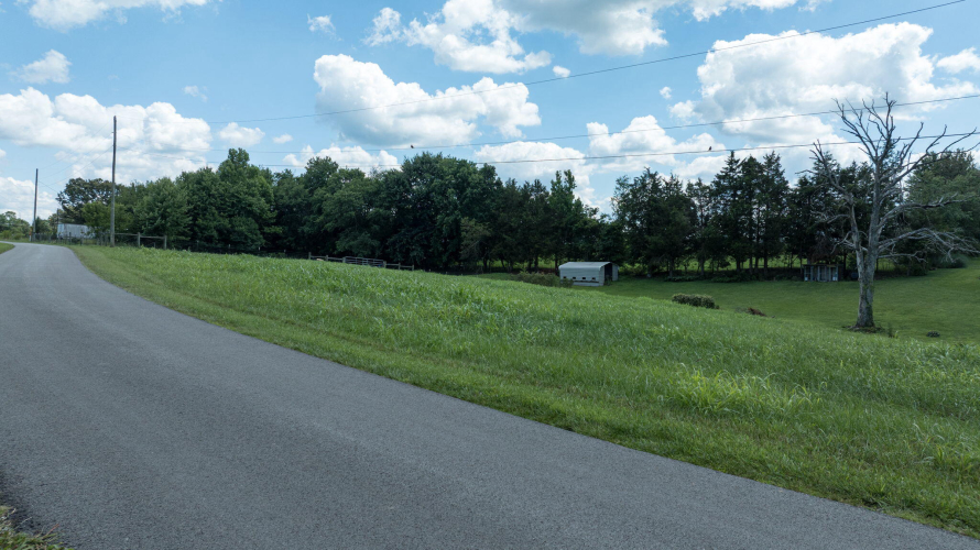 Listing Image 149