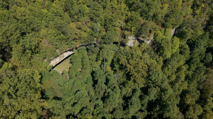 Listing Image 6