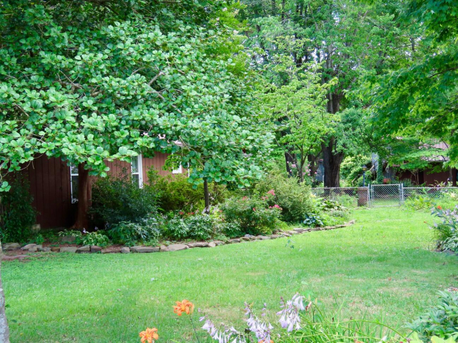 Listing Image 45