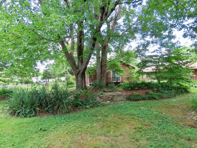 Listing Image 55