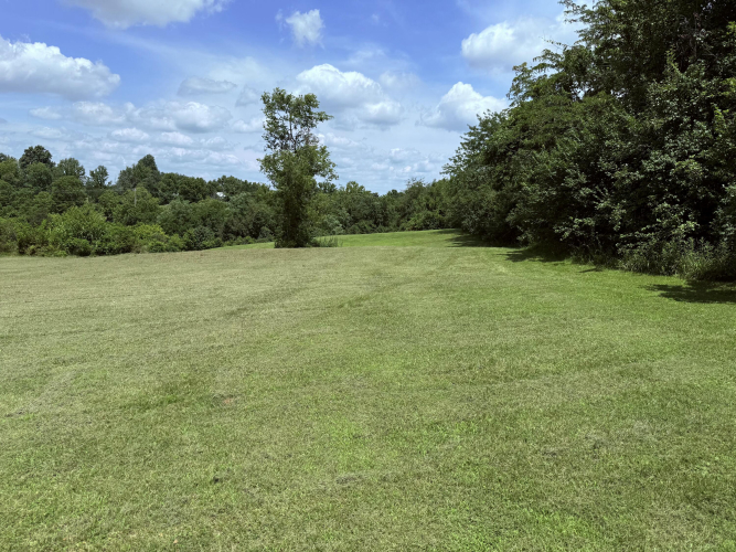Listing Image 43