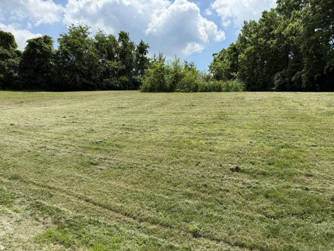 Listing Image 44