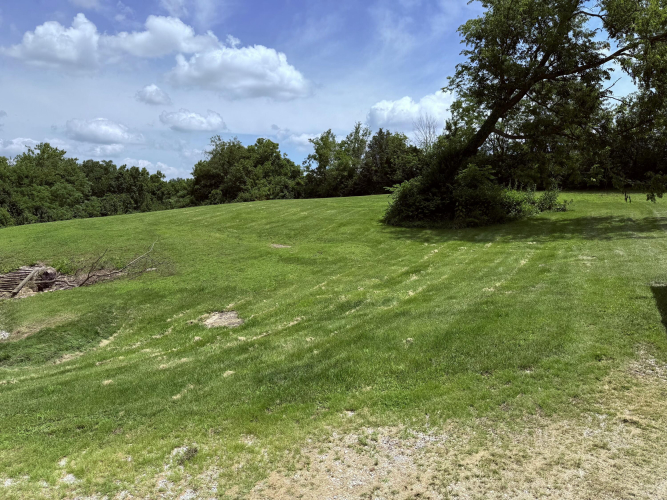 Listing Image 45