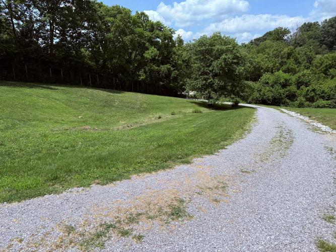 Listing Image 46