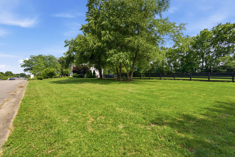 Listing Image 81