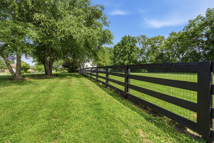 Listing Image 82