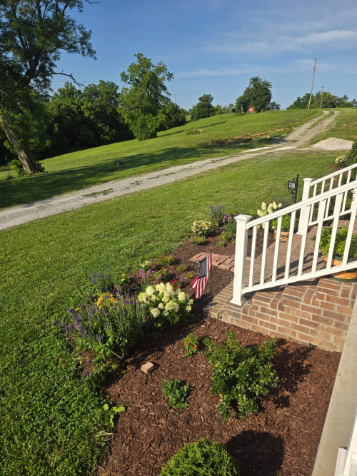 Listing Image 11