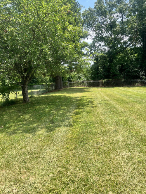 Listing Image 17