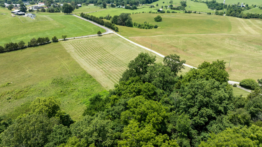 Listing Image 7