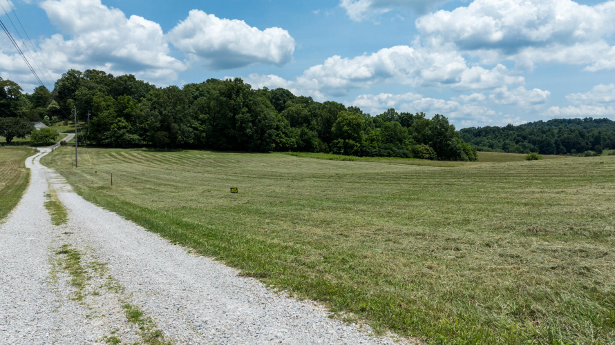 Listing Image 12