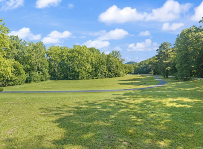 Listing Image 73
