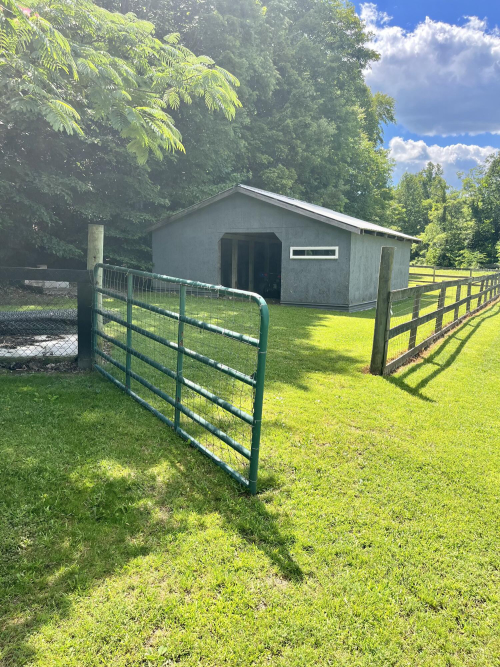 Listing Image 75