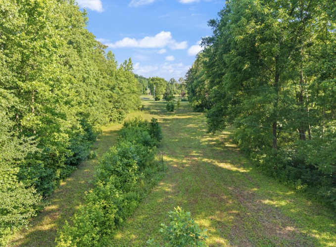 Listing Image 86