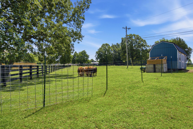 Listing Image 29