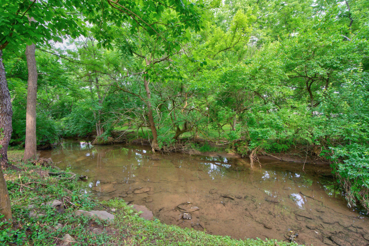 Listing Image 46
