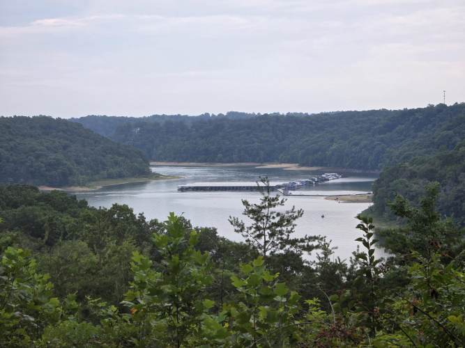 Listing Image 81