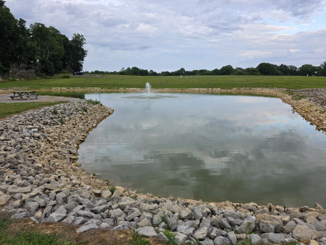Listing Image 82